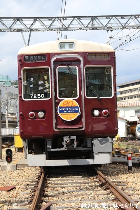 イメージ 5