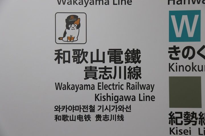 イメージ 18
