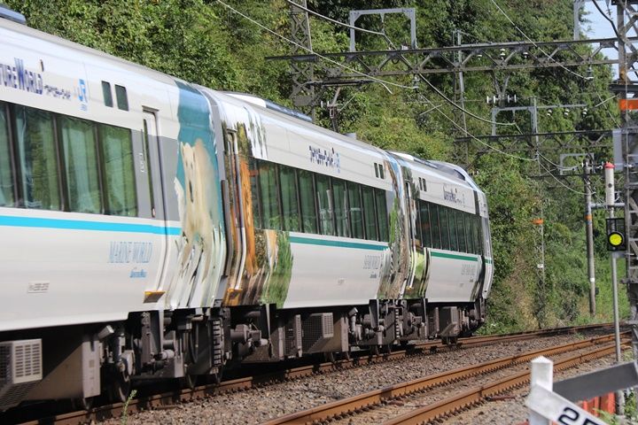 Jr西日本 287系パンダくろしお 2 鉄の浪漫に魅せられて
