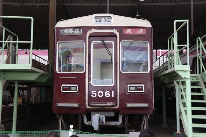 43