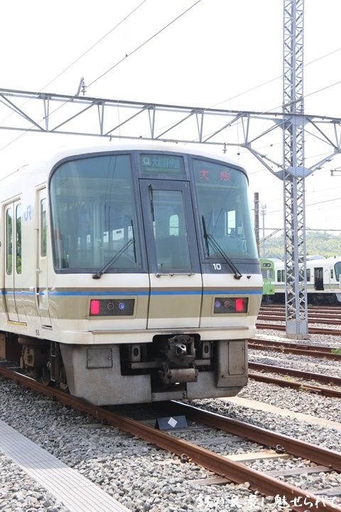 イメージ 5
