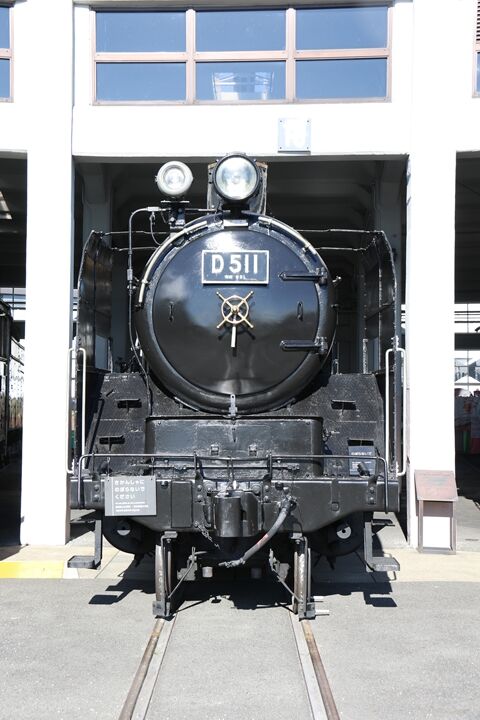 29