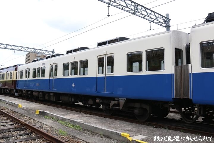 146