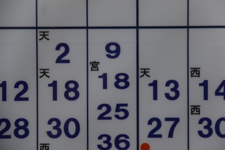 06
