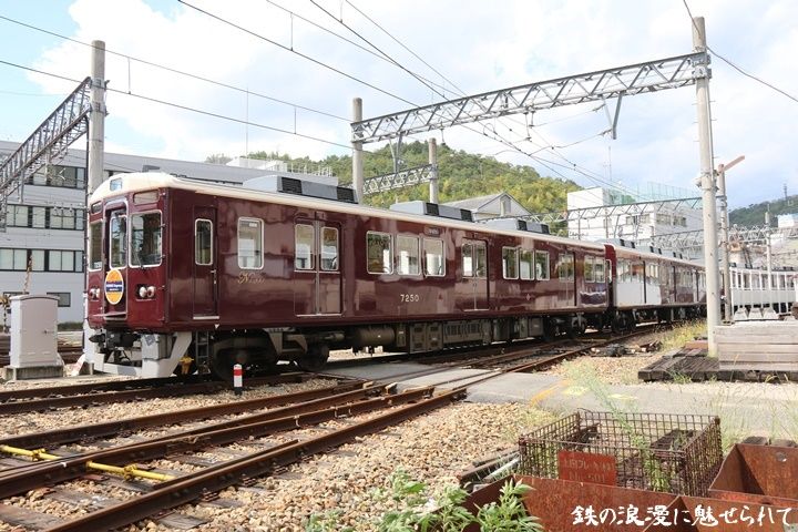 イメージ 12
