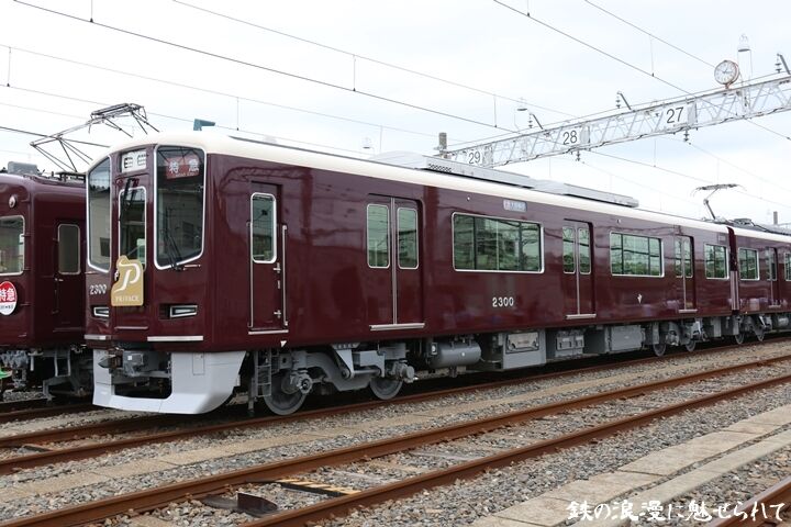 26