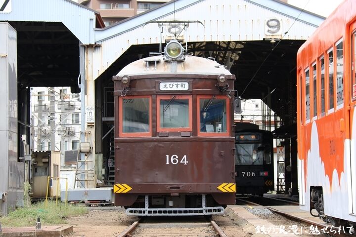 51