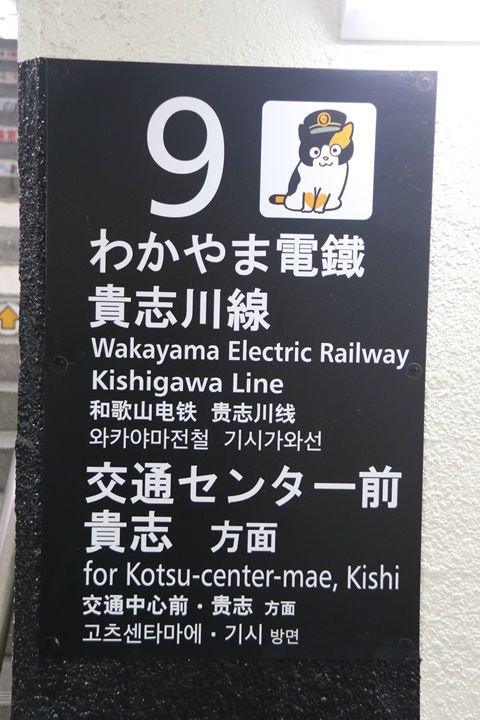 イメージ 19