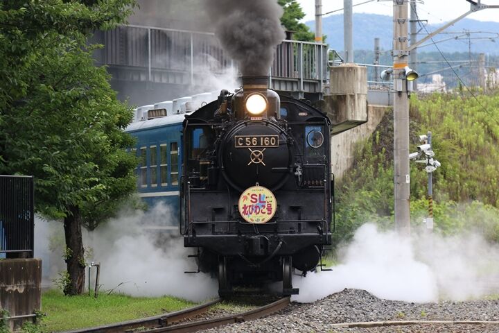 131