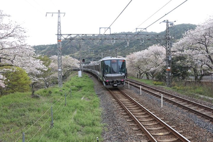 イメージ 7