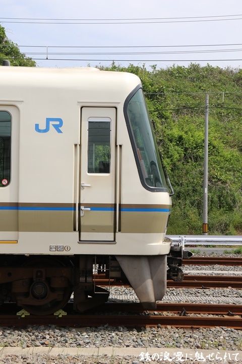 イメージ 5