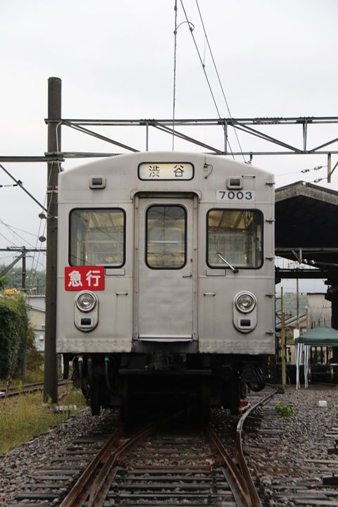 イメージ 5