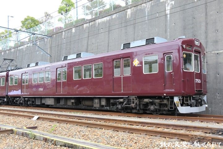 イメージ 15