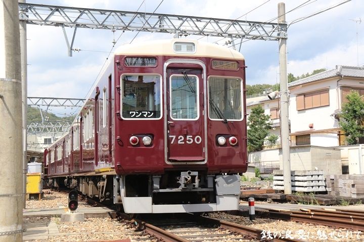 イメージ 12