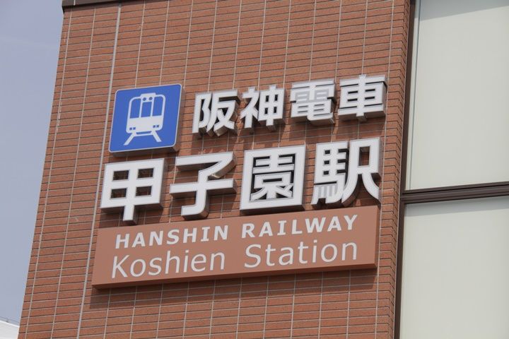 イメージ 8