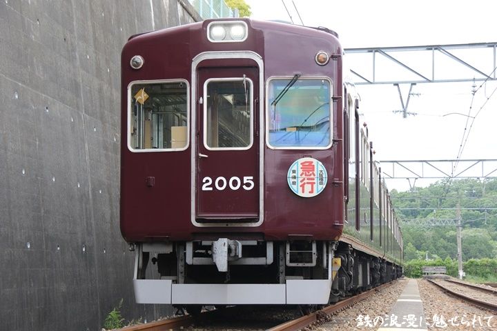 46