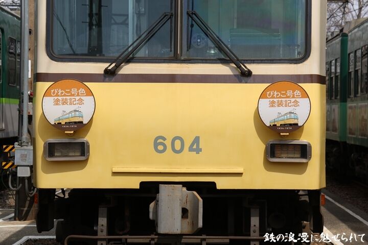 61