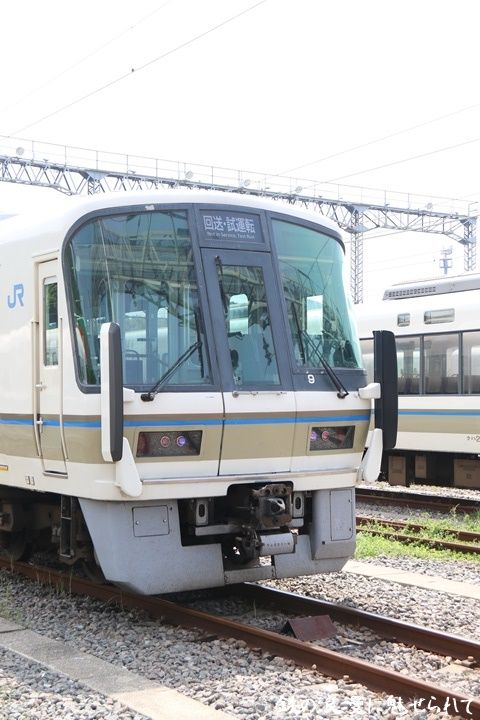 イメージ 12