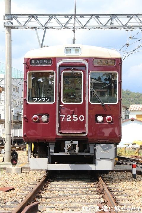 イメージ 5