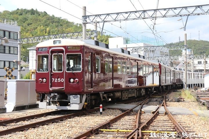 イメージ 14