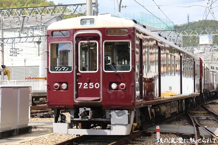 イメージ 13