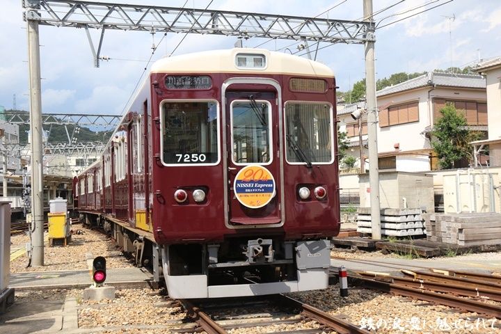イメージ 7