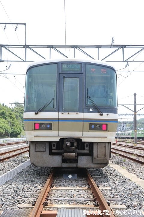 イメージ 5