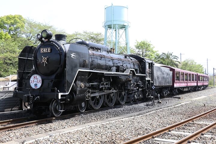 31