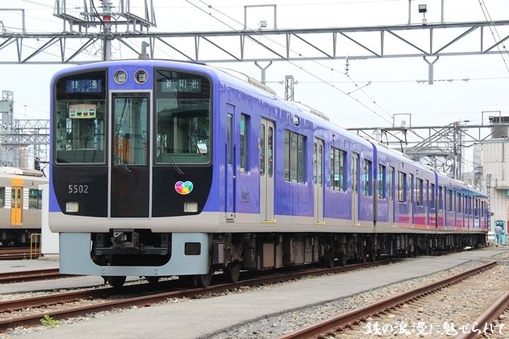 イメージ 7