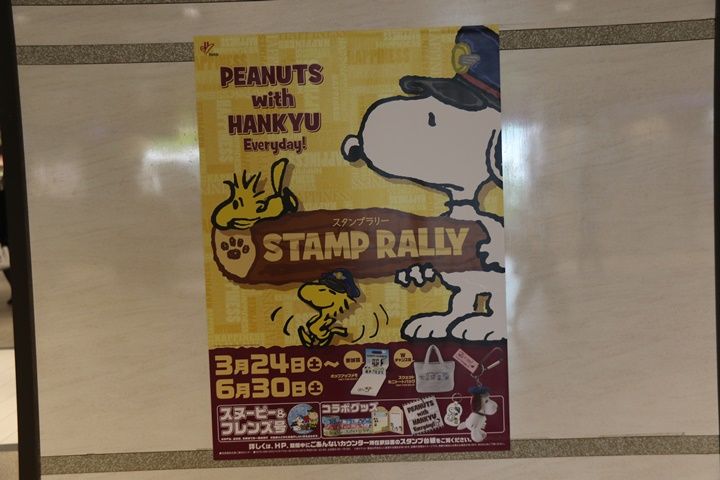 イメージ 15