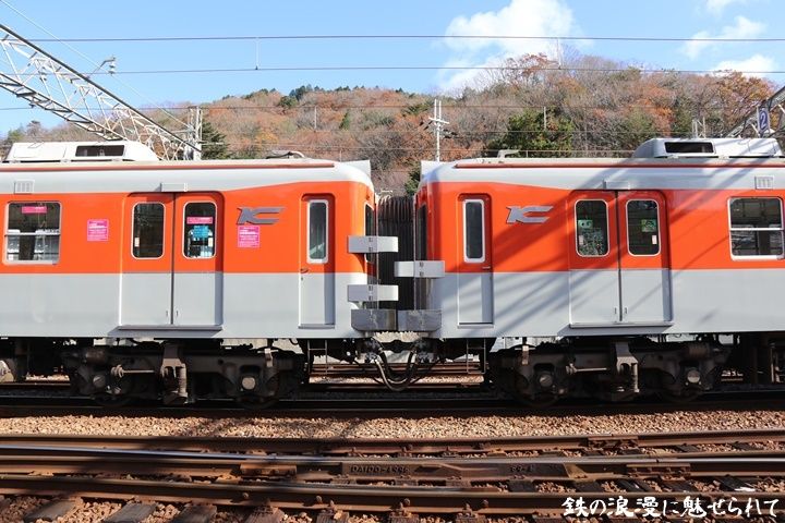 イメージ 8