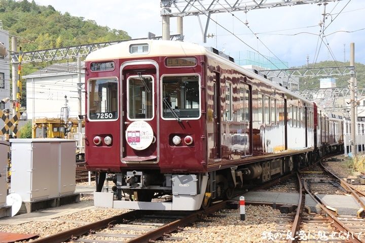 イメージ 10
