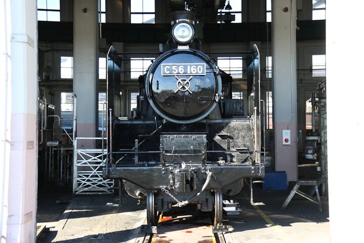 36