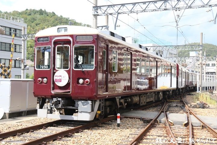イメージ 11