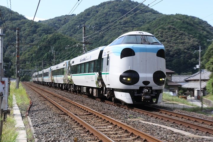 イメージ 6