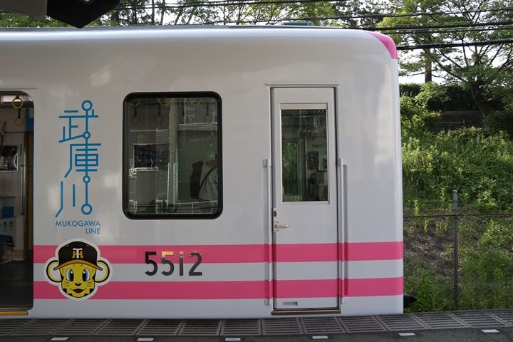 51