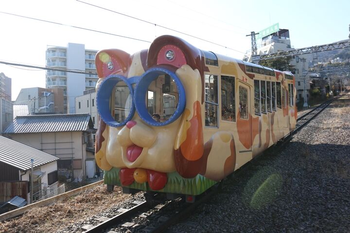 23