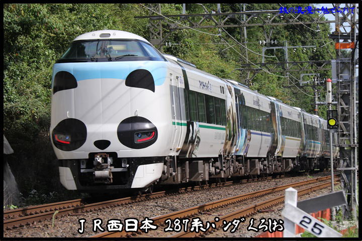 JR西日本 287系パンダくろしお #.2 : 鉄の浪漫に魅せられて