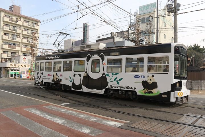 イメージ 5