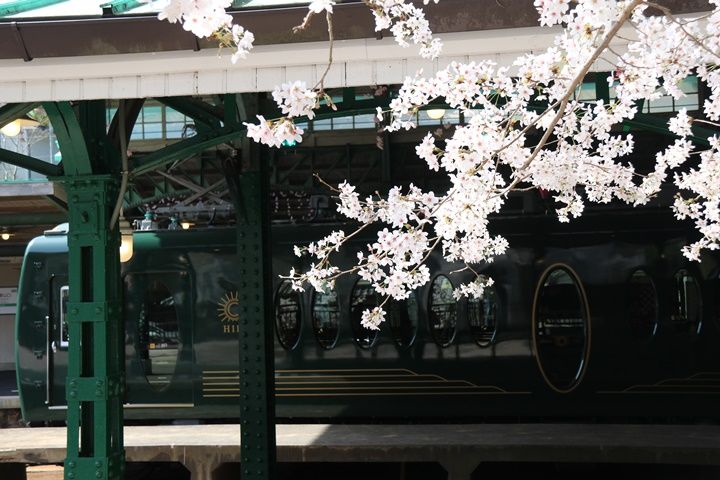 イメージ 8