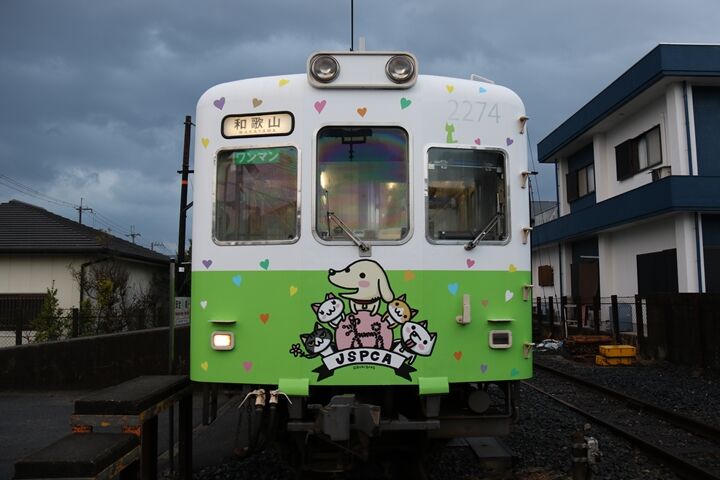 041