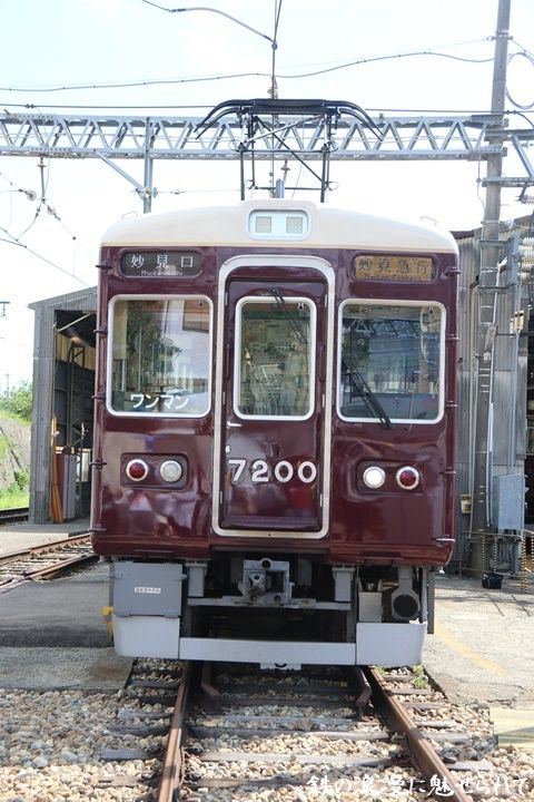 イメージ 3