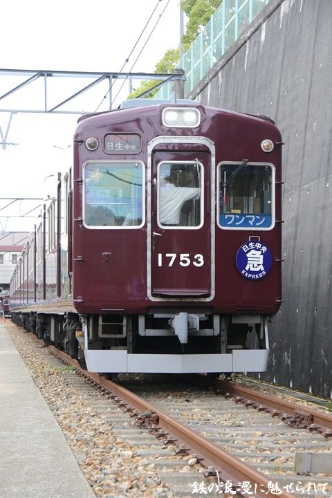 イメージ 5