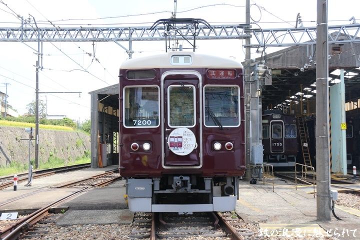 イメージ 6