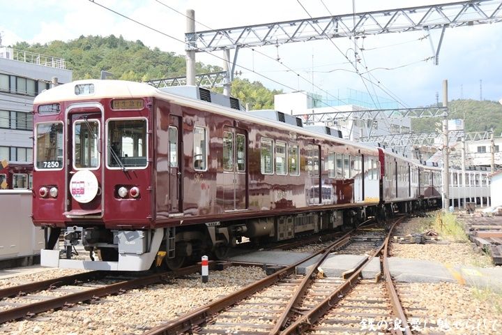 イメージ 12
