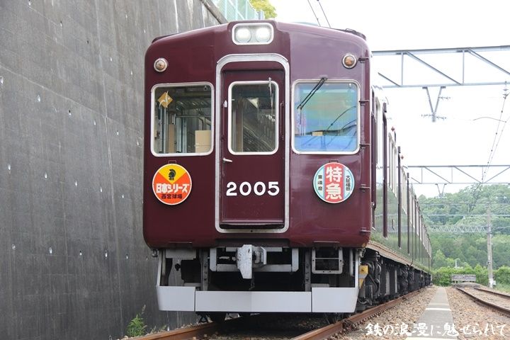 49