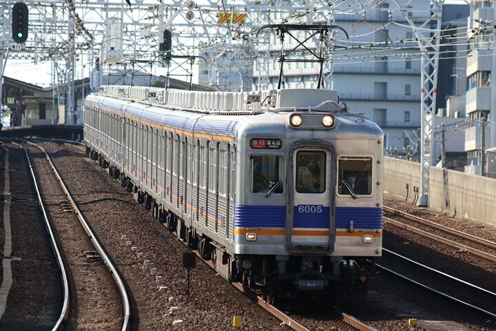 241