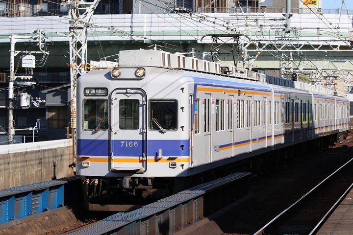 231