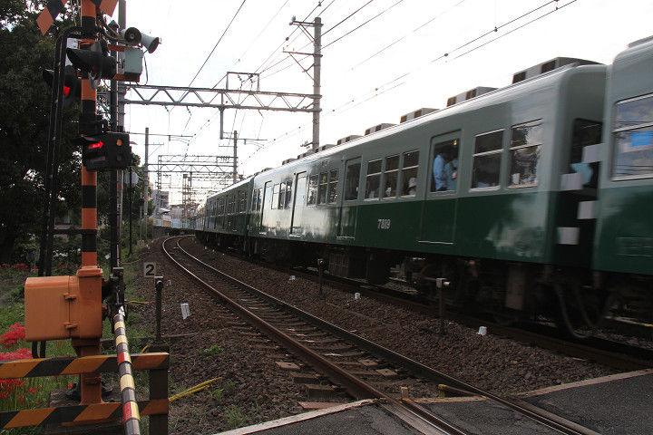 イメージ 13