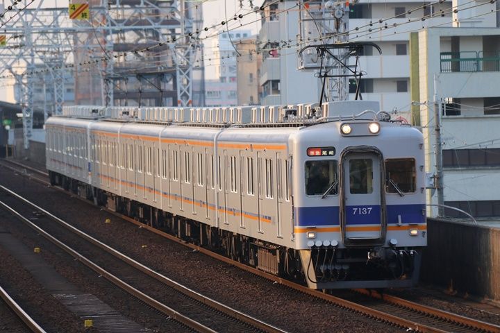 イメージ 7
